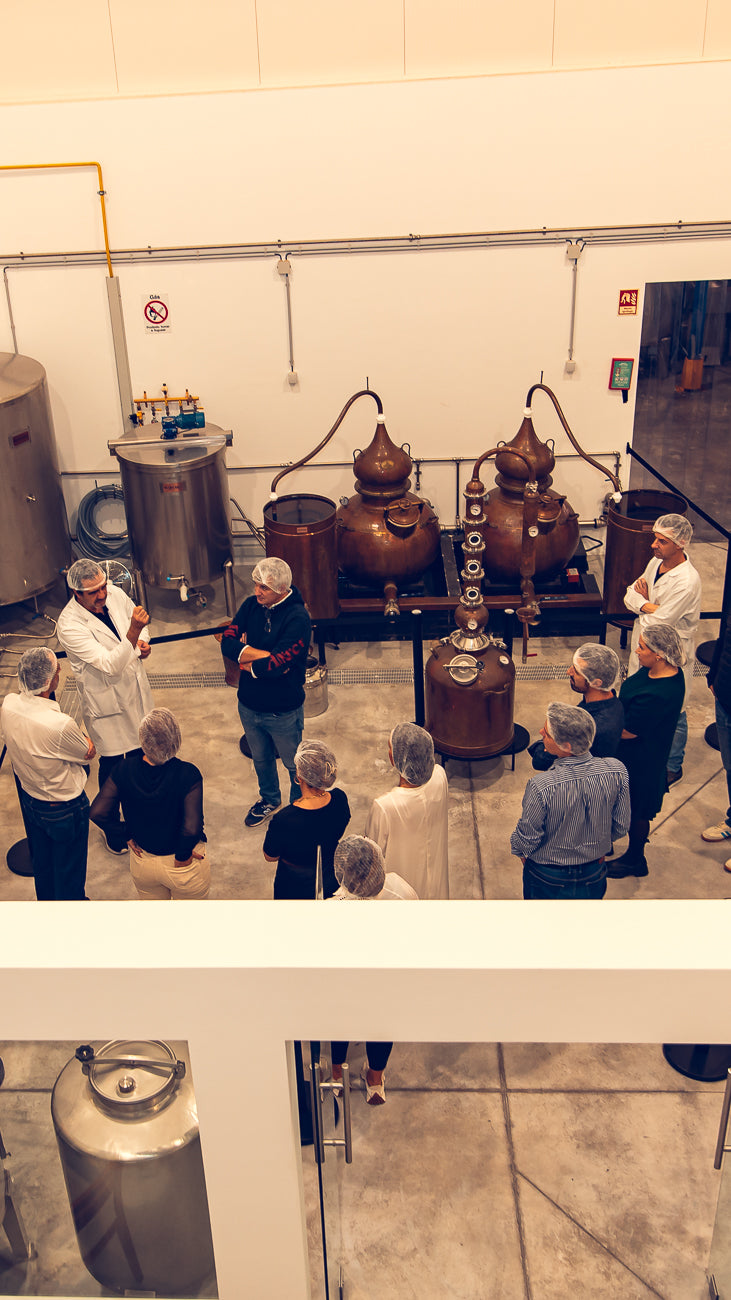 Visita à destilaria com prova de Gin - Valor por Pessoa